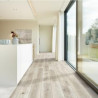 COREtec Swamp 50LVPE859 | Sol PVC clipsable clair