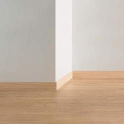 Plinthes Vitality 55mm