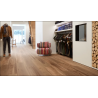 Coretec® Essentials Série 1500+ Ocala Walnut 68 50LVRE2068