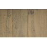 Arbony Campagne Bleached Grey (Ref.25)