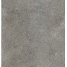 COREtec Teneguia 0196b 50CERA0196B sol minéral