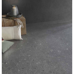 COREtec Eifel 1095b 50CERA1095B sol minéral
