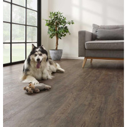 COREtec Jasper Oak 01 50LVR9601 sol PVC