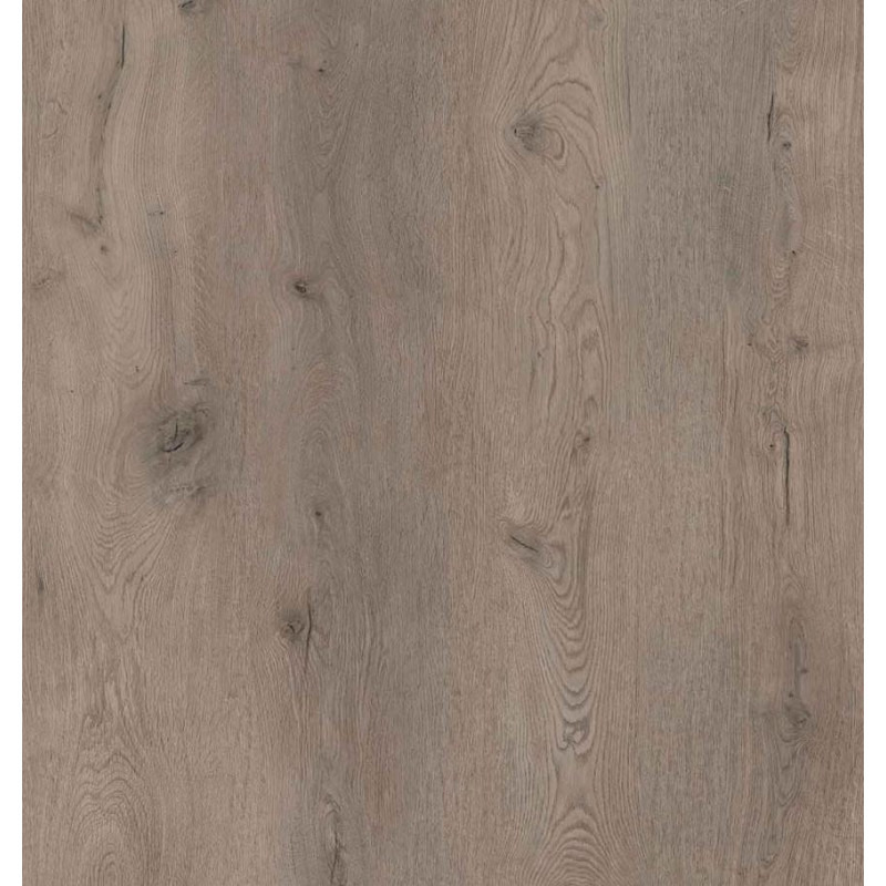 Coretec® XL-End Belvoir 50LVREXL2594 Coretec® XL-End Belvoir 50LVREXL2594