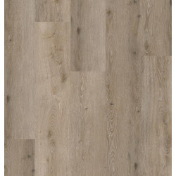 COREtec Noble Oak 55 50RLV3955 | Sol PVC clipsable