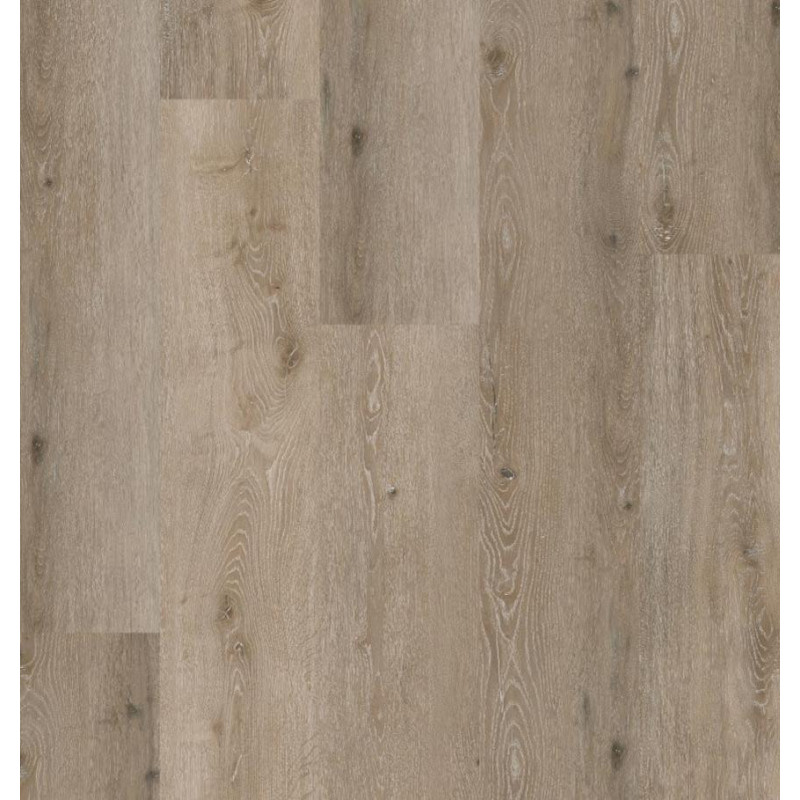 COREtec Noble Oak 55 50RLV3955 | Sol PVC clipsable