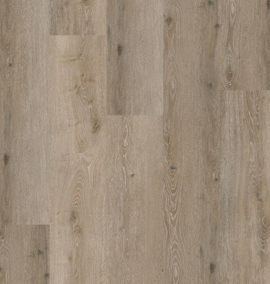 COREtec SurPlus Noble Oak 55 | Sol PVC clipsable