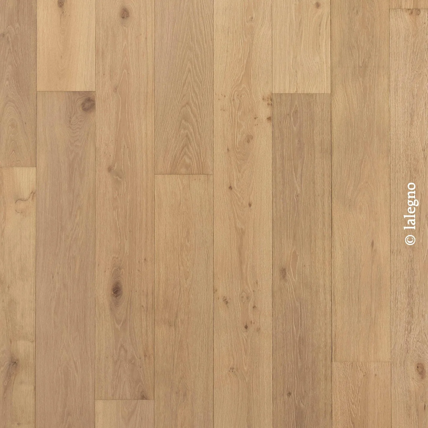 RELIEF-PINOTBLANC sablé - vernis naturel - Parquet Antiq 15mm Lalegno