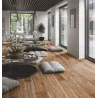 Bois Exotique Tendance - Lifestyle Granit 55 Evo de Lifestyle Floors