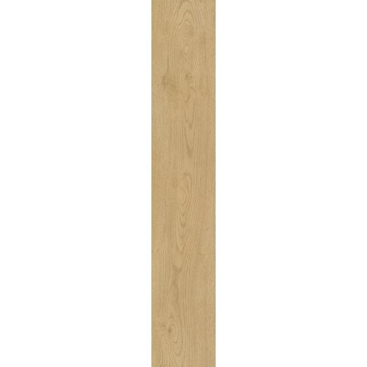 CorkArt Sand River Oak 9581 | Sol SPC Reims