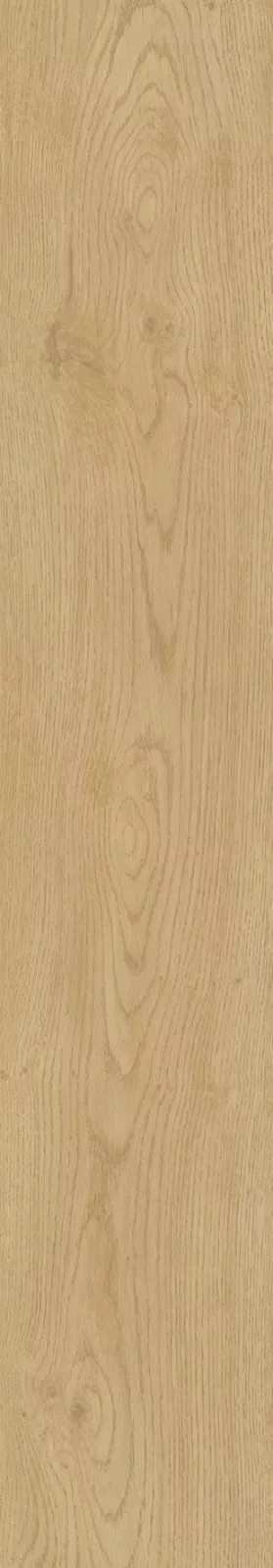 CorkArt Sand River Oak 9581 | Sol SPC Reims