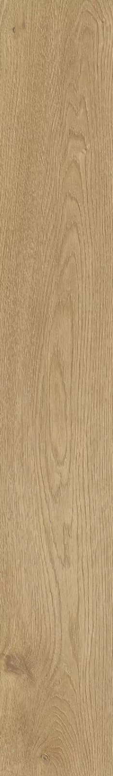 CorkArt Camel Mountain Oak 9571 | Sol SPC Reims