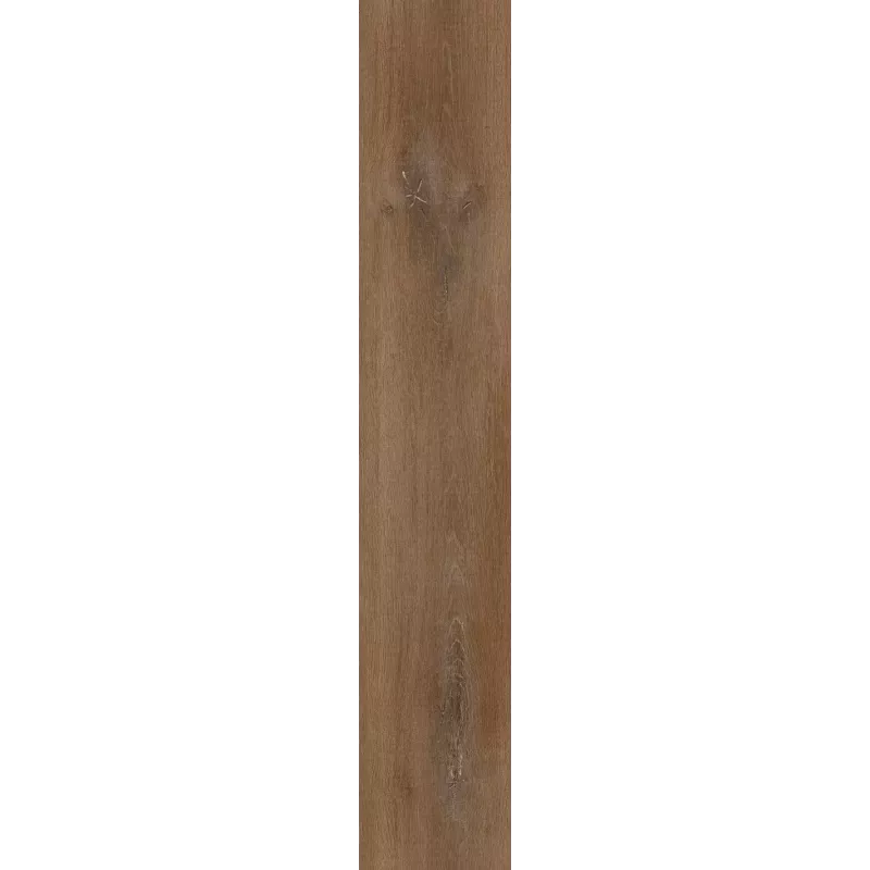 Coconut Silky Oak Vinyl2Go Corkart 9748 – Sol vinyle SPC étanche