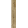 CorkArt Camel Winter Oak 9531 | Sol SPC Reims