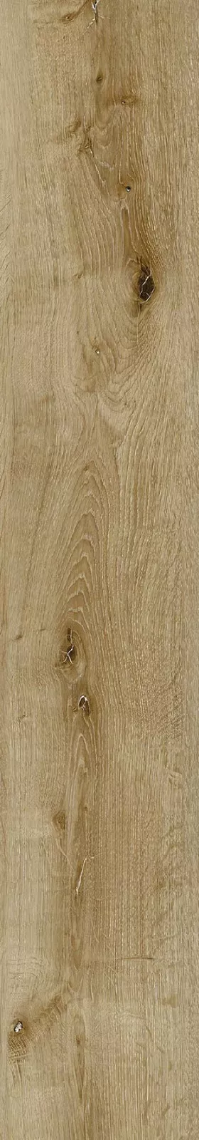 CorkArt Camel Winter Oak 9531 | Sol SPC Reims