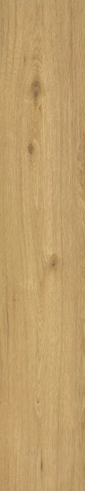 CorkArt Gold Summer Oak 9505 | Sol SPC Reims