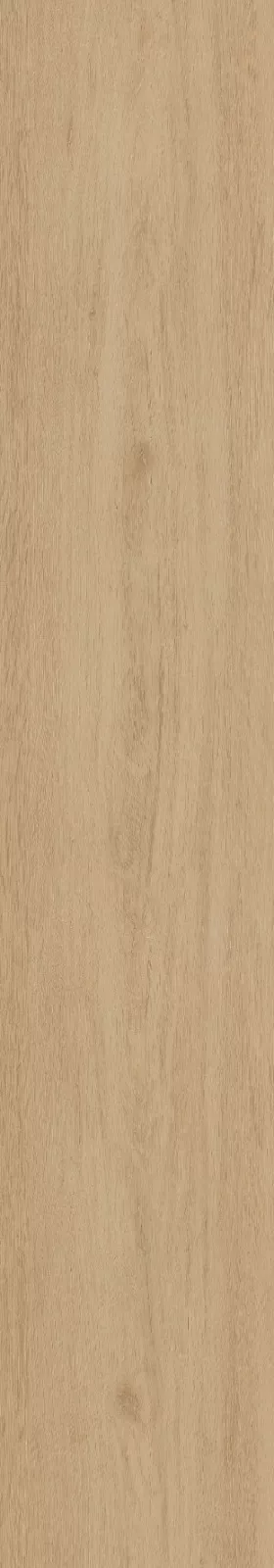 CorkArt Vanilla Liberty Ash 9541 | Sol SPC Reims