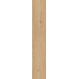 CorkArt Blossom Summer Oak 9537 | Sol SPC Reims