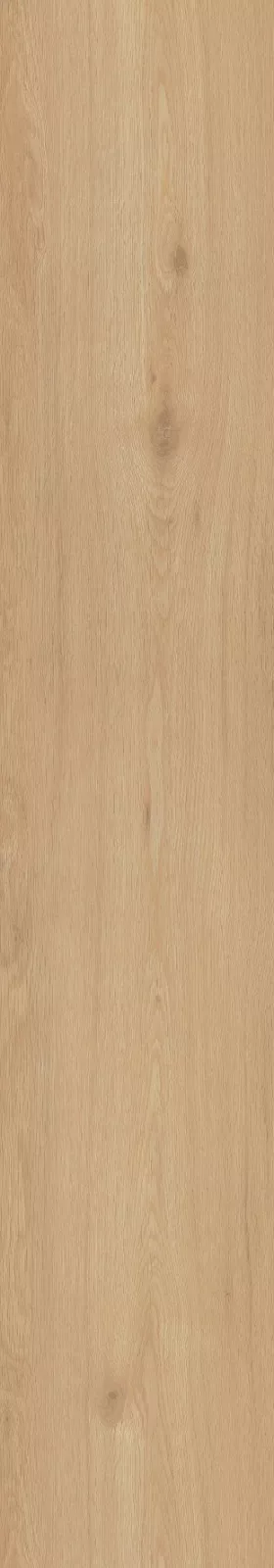 CorkArt Blossom Summer Oak 9537 | Sol SPC Reims