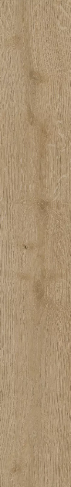 CorkArt Sand Mountain Oak 9576 | Sol SPC Reims