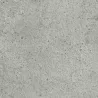 COREtec Rhon 0593b 50CERA0593B sol minéral