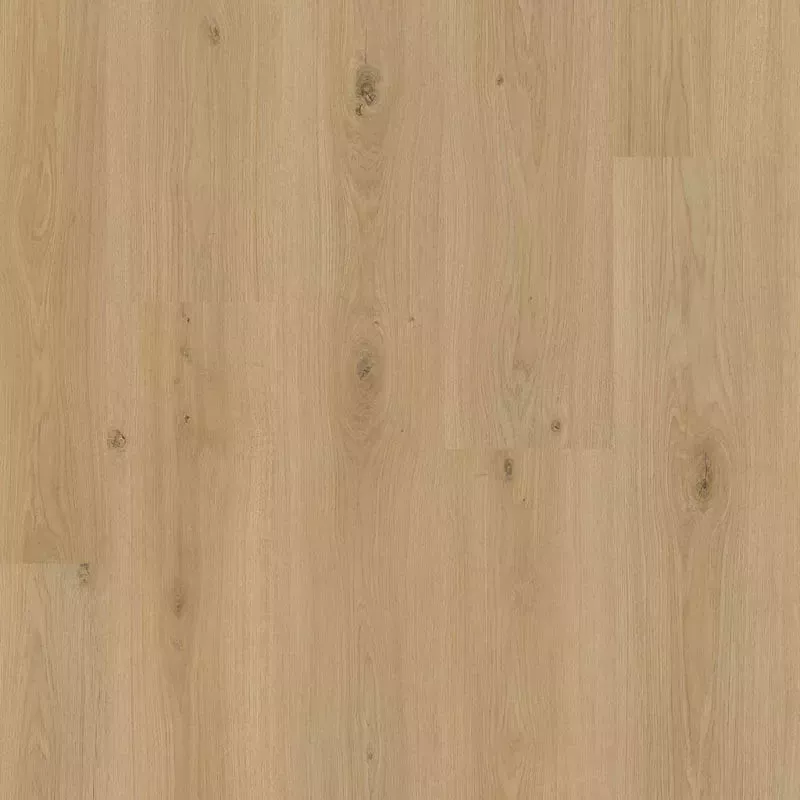 PERGO Perstorp Chêne de Vigne | Stratifié premium