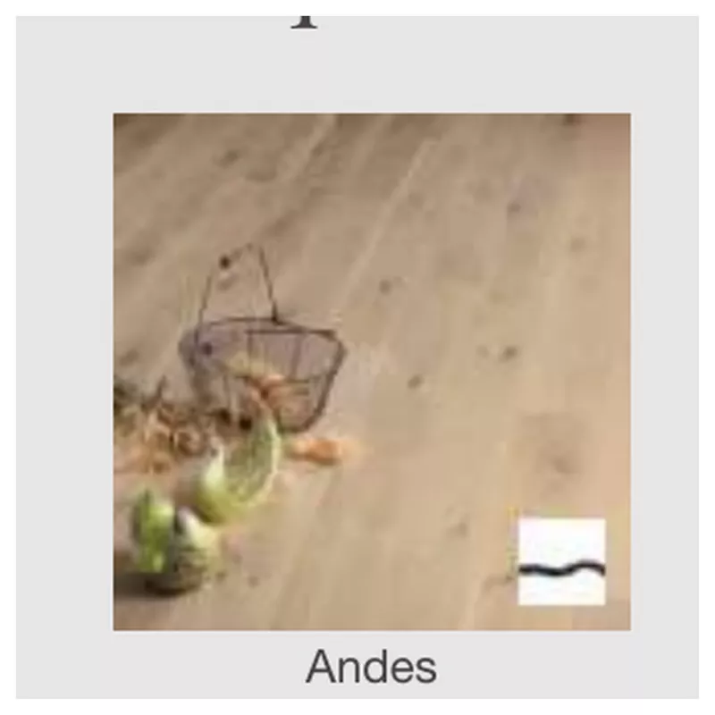 Parquet Andes Design Parquet