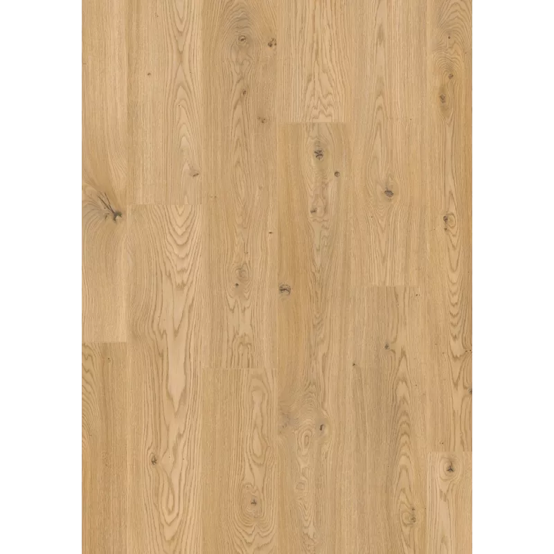 Chêne Brandon STL00175 - Stratifié Vitality Style AC5