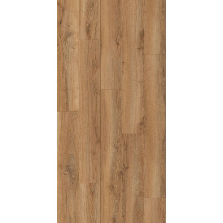 K795 - Décor officiel